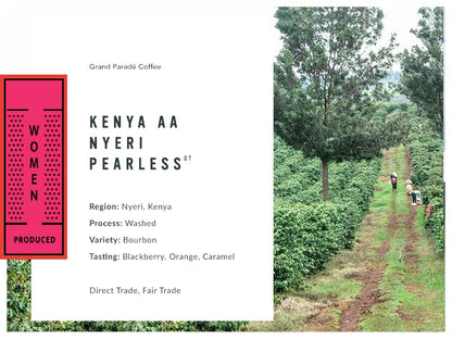 Grand Parade Coffee, 3 Lbs Kenya AA Unroasted Green Coffee Beans, Nyeri Women Produced Single Origin, Specialty Arabica - Fair Trade