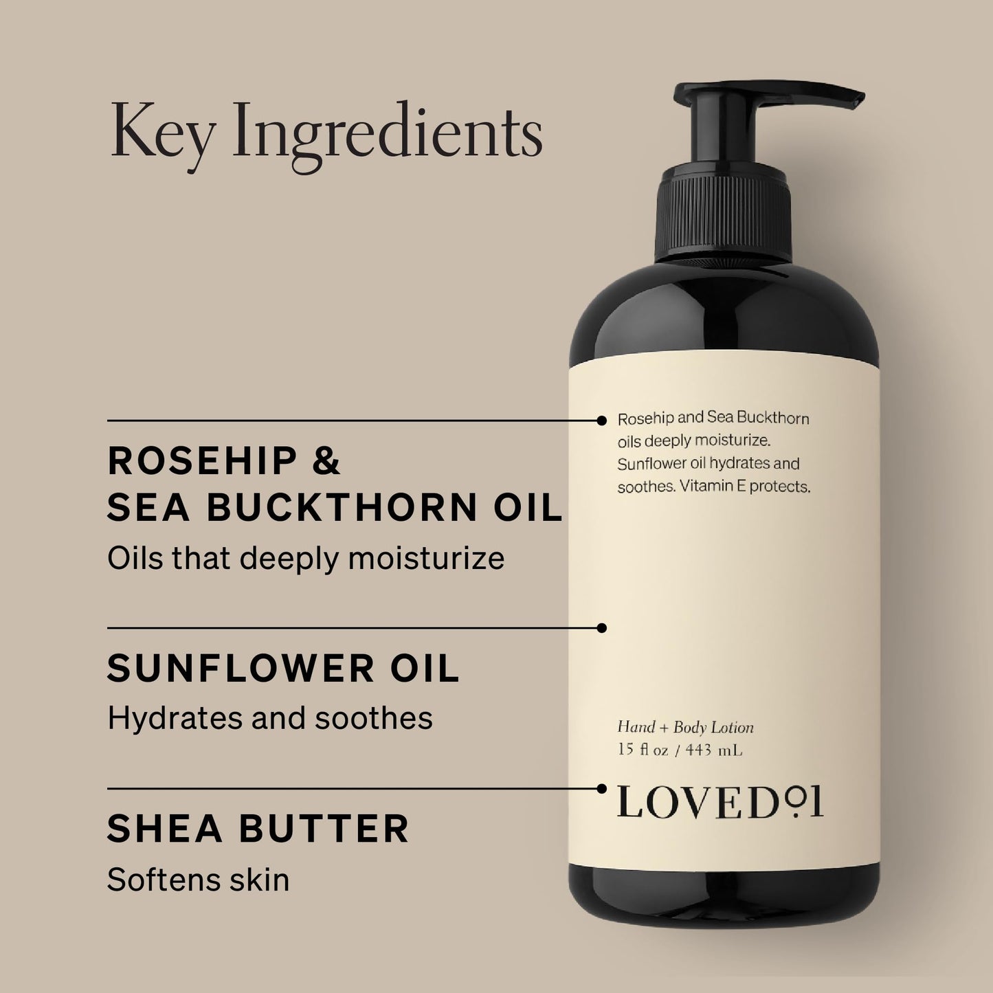 Loved01 Cleansing & Moisturizing Bundle Hand Wash & Hand/Body Lotion, (15 Oz Hand Wash & 2-Pack 15 Oz Hand & Body Lotion)