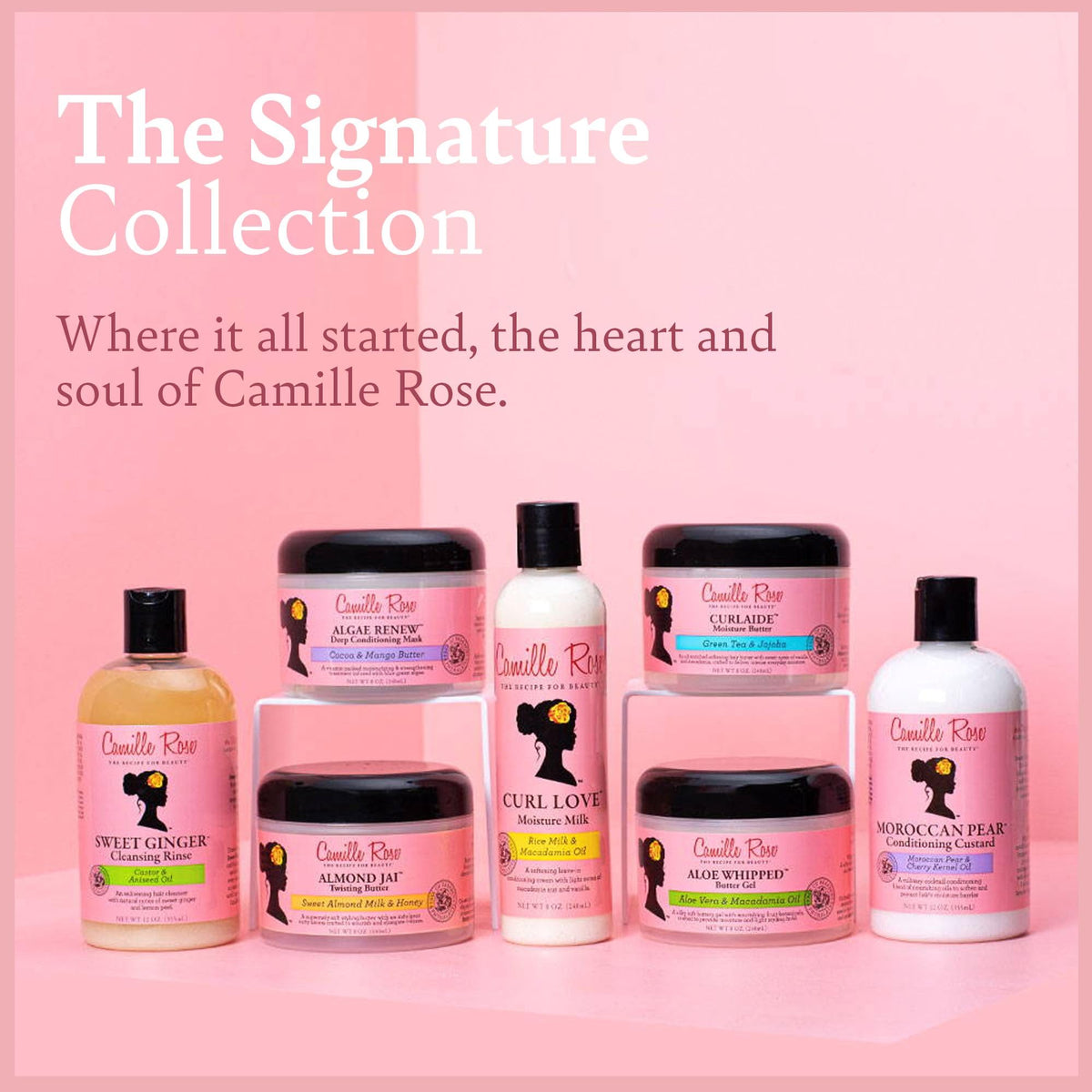 Camille Rose Sweet Ginger Rinse, Hair and Scalp Cleanser with Ginger Root and Aniseed Oil, to Clarify and Moisturize, for all Hair Types, 12 oz