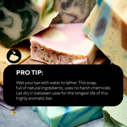 Soap Distillery Agave + Salted Peel Bar Soap Two Pack - Green Tea and Cucumber Fresh - Citrus Lime Soap - Clean smelling fresh scent