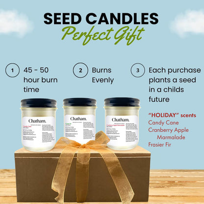 3 Pack 6oz Seed Candles in Glass with Lid, No Waste Candles, Soy Wax, Natural Cotton Wicks, Holiday Gift Set