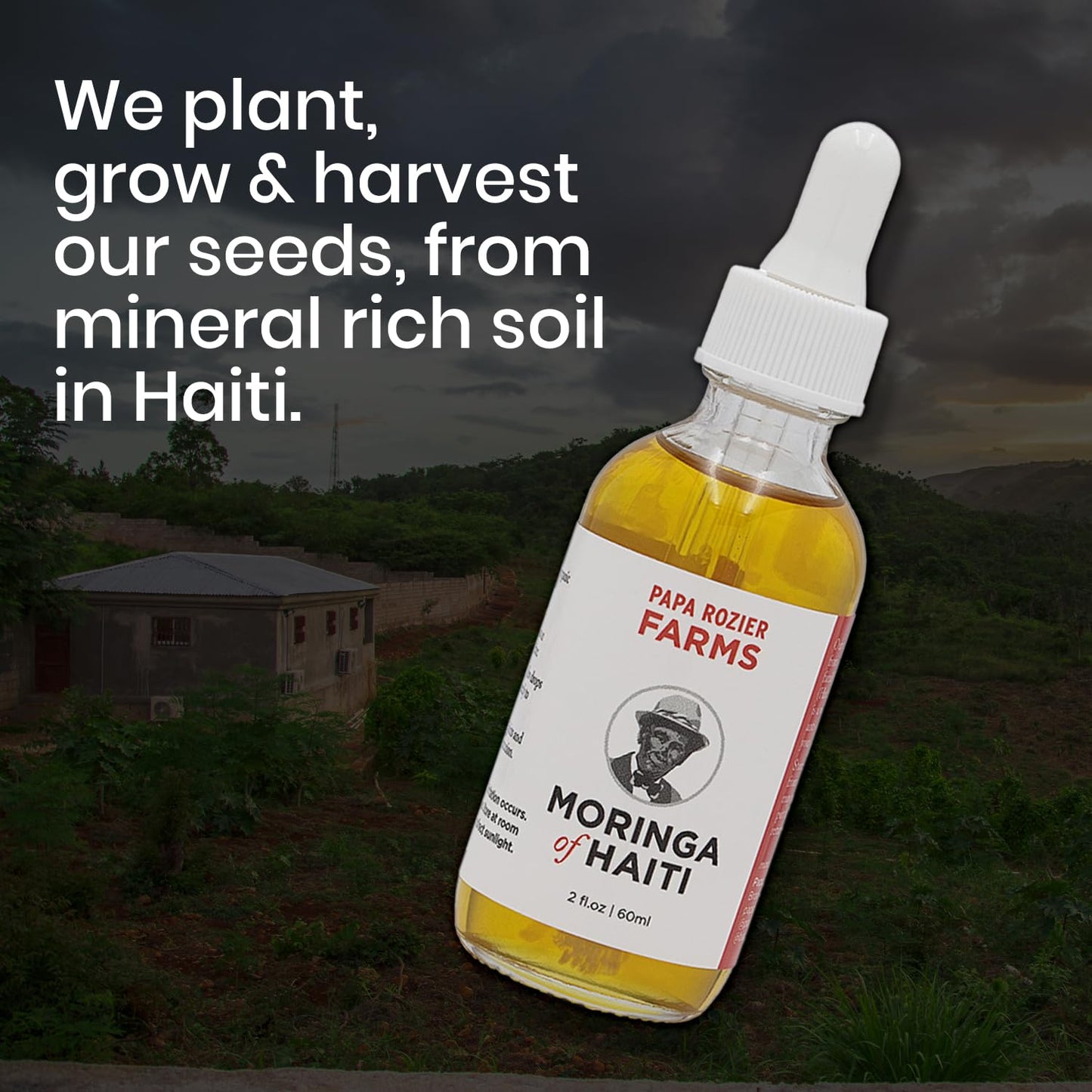 Moringa Oil of Haiti 2oz - Grown On Our Farms, Crushed In Our Farmhouse in Brooklyn - Undiluted, Cold Pressed, And Unrefined For Hair, Skin, Eyelashes, Eyebrows & Nails - from Papa Rozier Farms