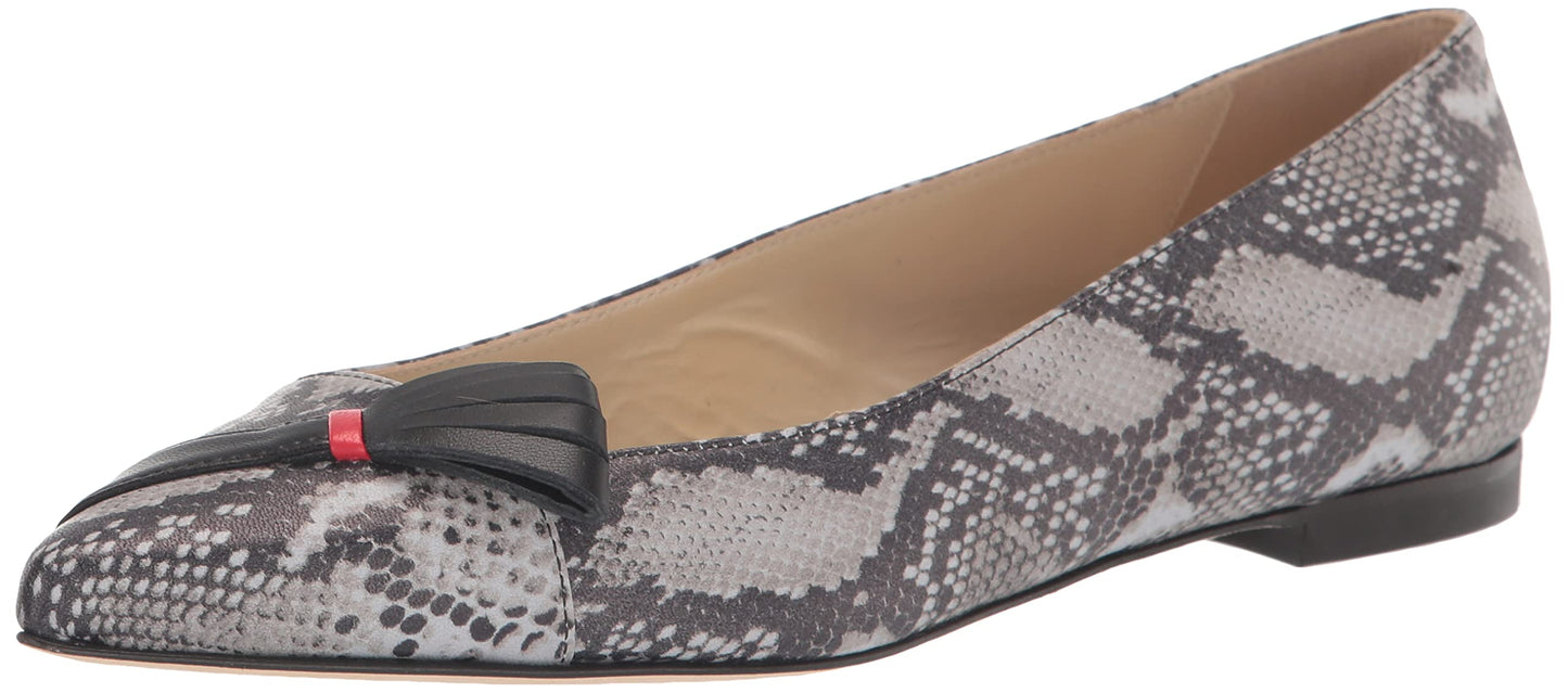 Tiannia Barnes Women's Ballet Flat, 9 Multi