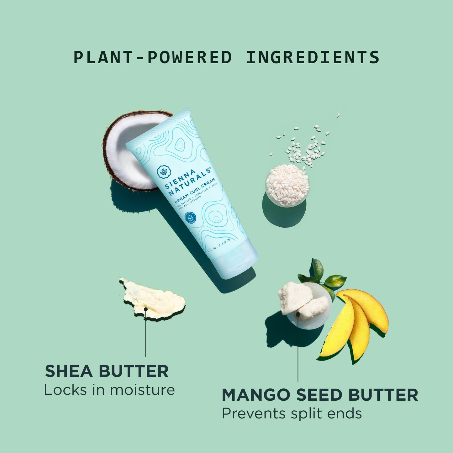 Sienna Naturals - Dream Curl Cream – Lightweight Curl Defining & Hydrating Styling Cream – Enhances Curls, Reduces Frizz & Adds Soft Hold – Clean, Vegan & Silicone-Free, 6oz