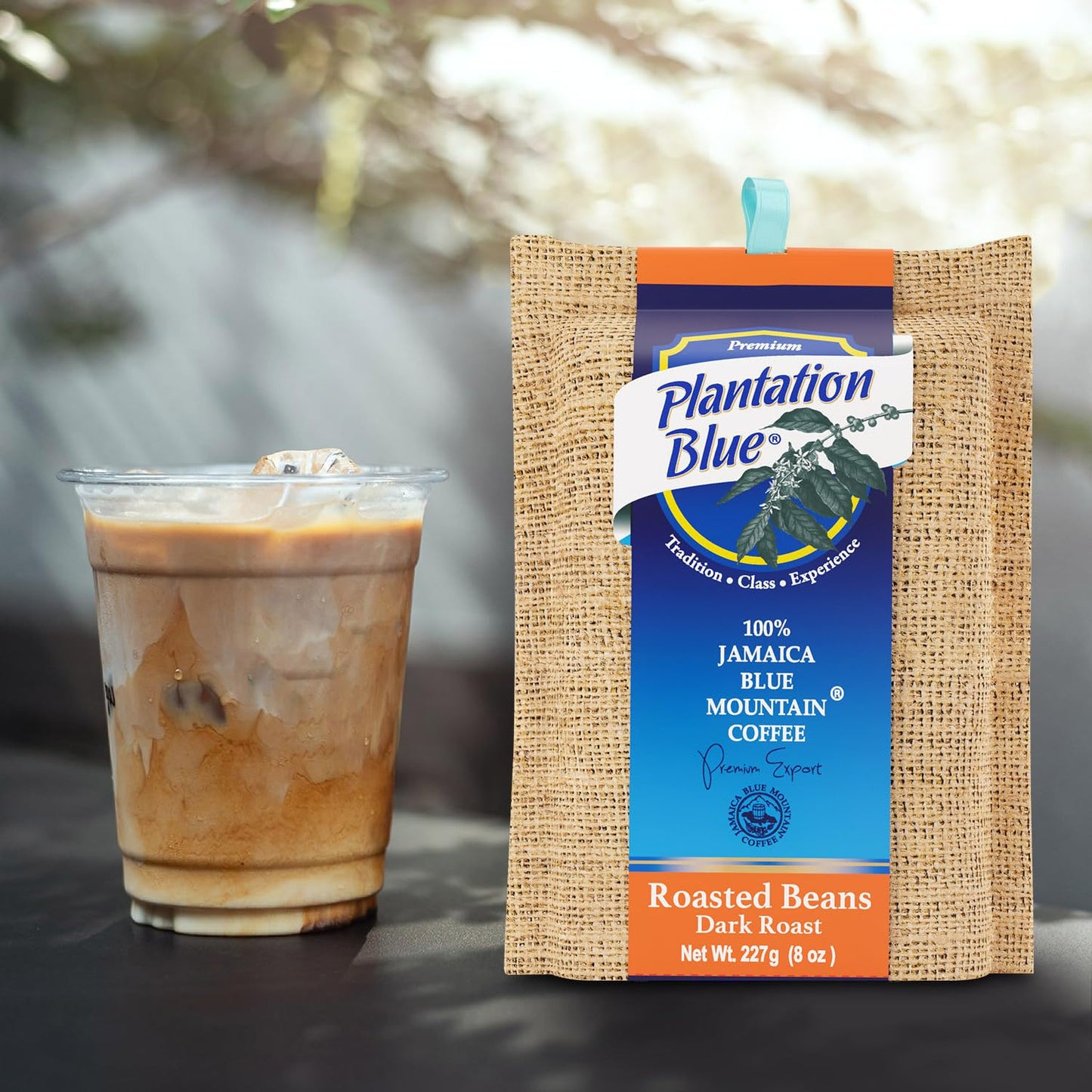 Plantation Blue 100% Jamaica Blue Mountain Coffee - Dark Roasted Coffee Dark Roast (8oz, Dark Roast Beans)