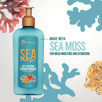 Mielle Organics Sea Moss Anti-Shedding Conditioner