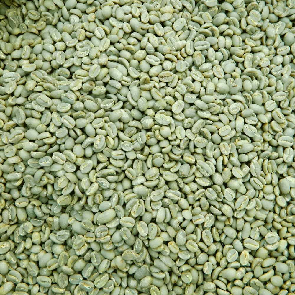 Grand Parade Coffee, 5 Lbs Geisha Unroasted Green Coffee Beans, Malawi AA Single Origin, Specialty Arabica - Fair Trade