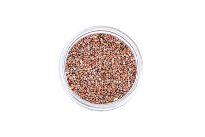 Senafitch | Imported and Authentic Ethiopian Mustard Seed | Made and Imported from Ethiopia | Organic and NON-GMO | ሰናፍች | Used to make Azifa