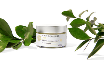 Shea Radiance Classic Scent Baobab - Unrefined Shea Antioxidant Cream & Body Lotion, for All Skin Types - Collagen Boosting Hydration | 6oz