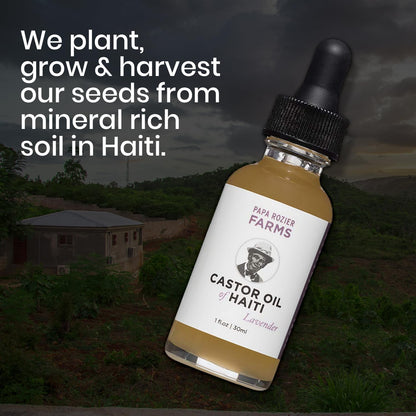Papa Rozier Farms Lavender Pure Castor Oil of Haiti - Organic Cold Pressed - Hexane Free - 1oz – Unrefined – Oil for Hair Growth Treatment, Dry Skin Moisturizer, Eyelashes & Eyebrows, Pack of 1