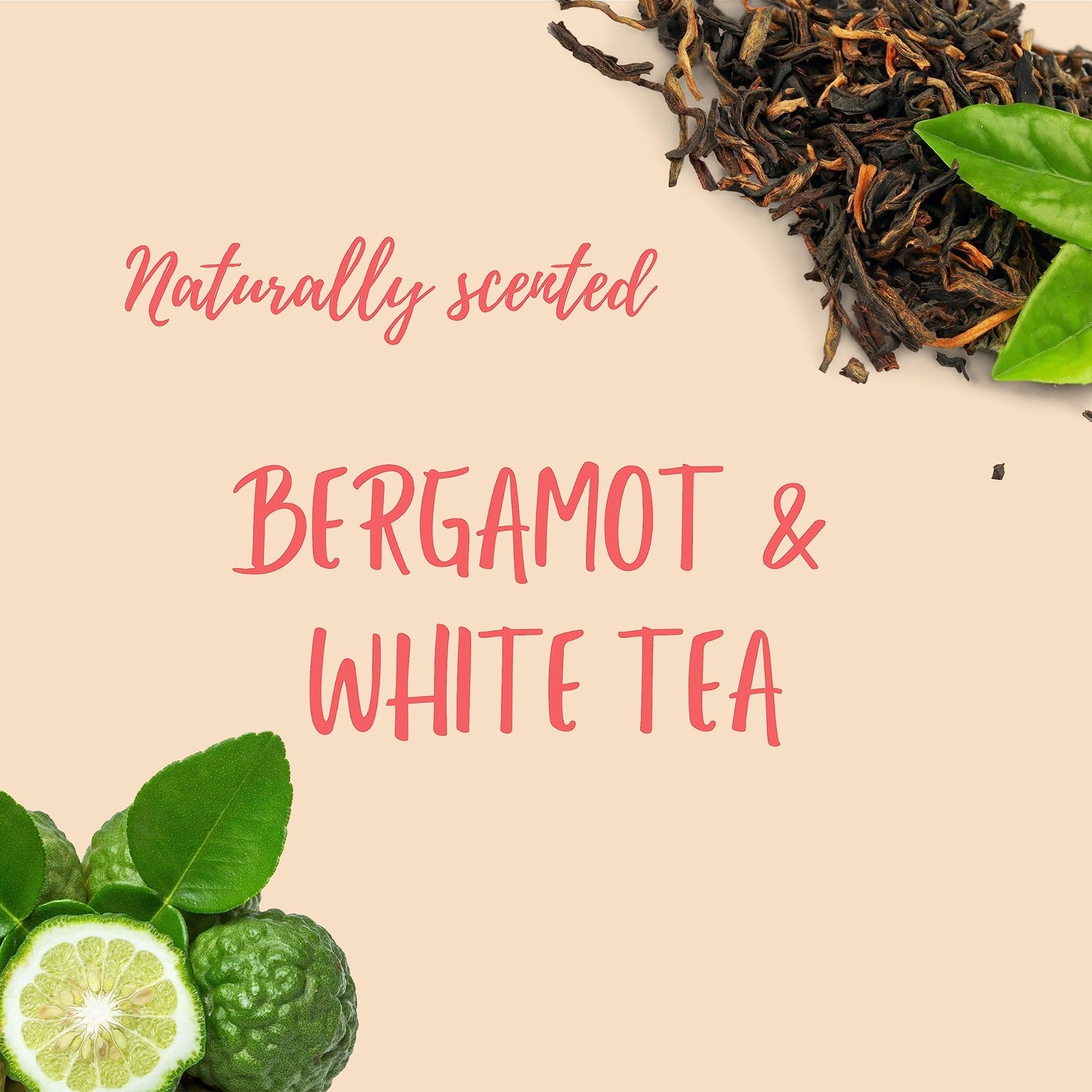 BlackTravelBox Solid Co-Wash Bar With Sunflower And Calendula To Refresh And Restore Hair Texture In-Between Shampoo Days, Easy 2-In-1 For Waves, Curls, And Coils, TSA Friendly - 2.6 Oz