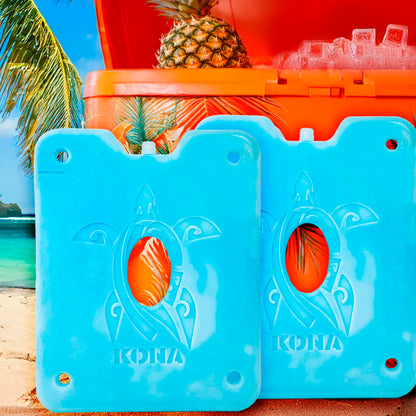 Kona Large Reusable Ice Packs for Coolers – Cooler Ice Packs with Turtle Design for Long-Lasting Cold, Freezer Packs, Ice Packs Cooler – Ideal for Camping, Travel, and Lunchboxes (Set of 4)