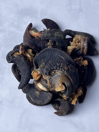 Kopabana Dried African snails| For Stewing or grilling| Various sizes| 4 oz