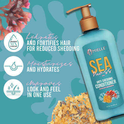 Mielle Organics Sea Moss Anti-Shedding Conditioner