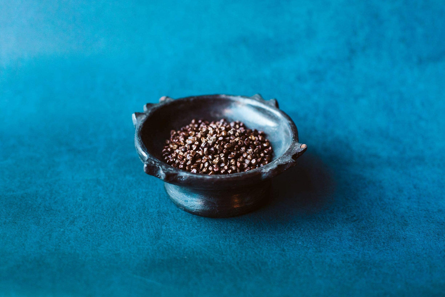 Ethiopian Korerima | Hand Picked and Processed Authentic Black Cardamom "Grains of Paradise'' | Harvested in and Imported from Ethiopia | Non-GMO | Organic | No preservatives | ኮረሪማ (3 oz)