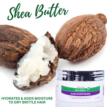 NouriTress Shea Butter Hair Moisturizer | Hydrating | Intense Moisture | For Textured and Curly Hair | with Shea Butter, Olive Oil and Coconut Oil | 5.5 fl oz.