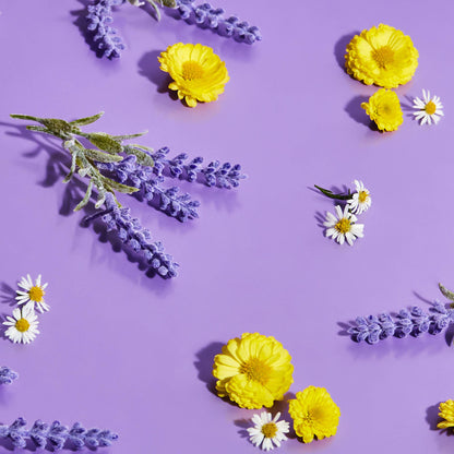 Nubian Heritage Hand Wash To Cleanse & Nourish Lavender & Wildflowers Nourishing Hand Soap 12.3 oz 3 Count