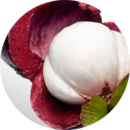 Davidoff Cool Water Woman Eau de Toilette 1 fl oz