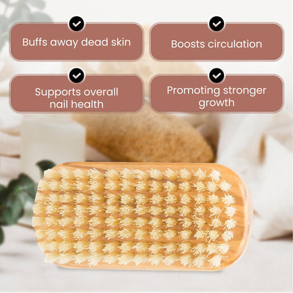 Since 1869 Hand Made in Germany - Natural 100% Natural Boar Bristle Nail Brush - Gently Removes Dirt and Grime for Clean Hands - Exfoliates Skin for Soft, Smooth Texture, Wood (Olive)