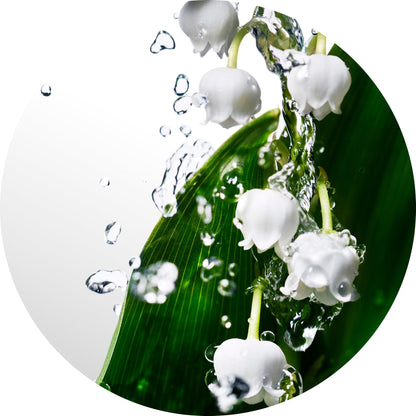 Davidoff Cool Water Woman Eau de Toilette 1.7 fl oz