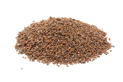 Senafitch | Imported and Authentic Ethiopian Mustard Seed | Made and Imported from Ethiopia | Organic and NON-GMO | ሰናፍች | Used to make Azifa