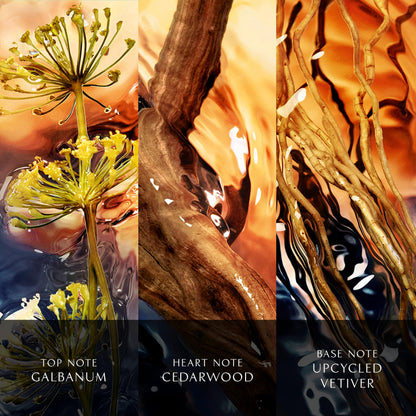 Davidoff Cool Water Reborn Eau de Parfum 1.7 fl oz