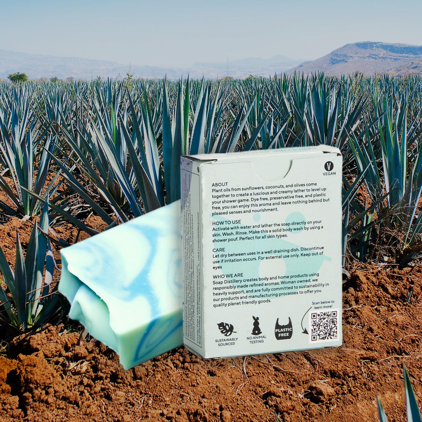 Soap Distillery Agave + Salted Peel Bar Soap Two Pack - Green Tea and Cucumber Fresh - Citrus Lime Soap - Clean smelling fresh scent