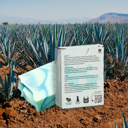 Soap Distillery Agave + Salted Peel Bar Soap Two Pack - Green Tea and Cucumber Fresh - Citrus Lime Soap - Clean smelling fresh scent