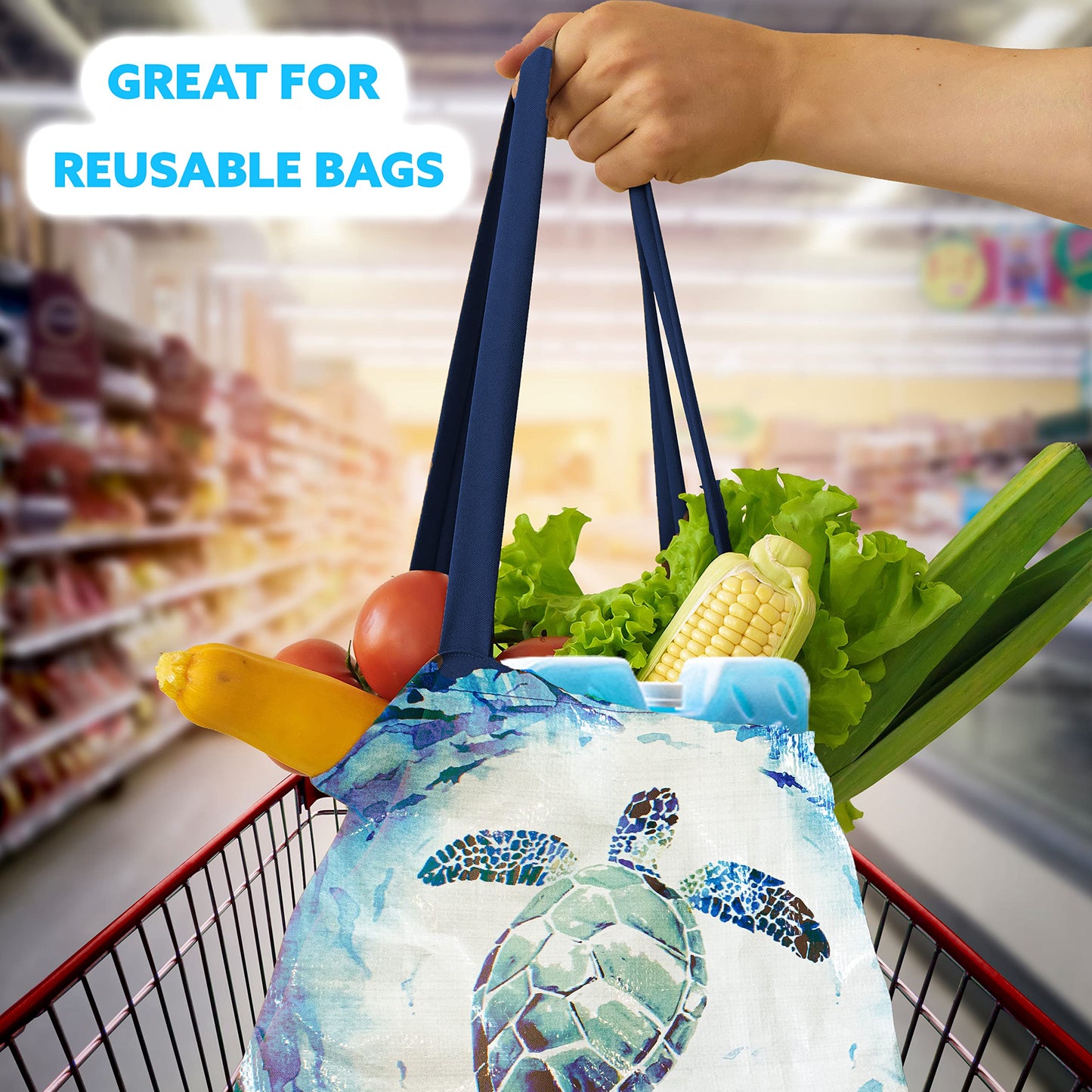 Kona Blue Ice Large Ice Packs for Coolers - Long Lasting Design - Refreezable Reusable Cooler Ice Pack (2)