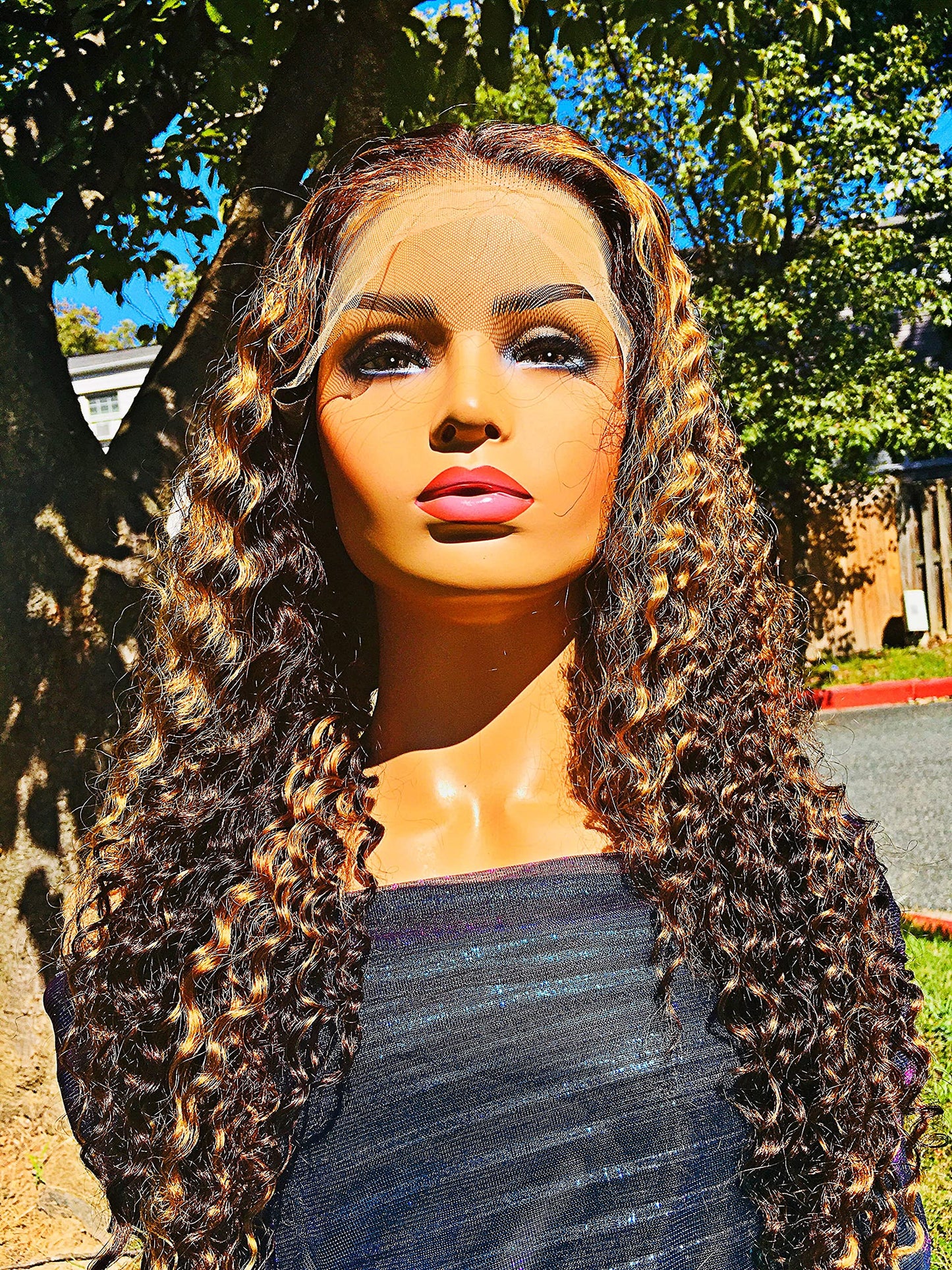 2Chique Boutique Human Hair Wig 13x4 Transparent Lace Wig Highlight Color Deep Wave 22inches 180% Density