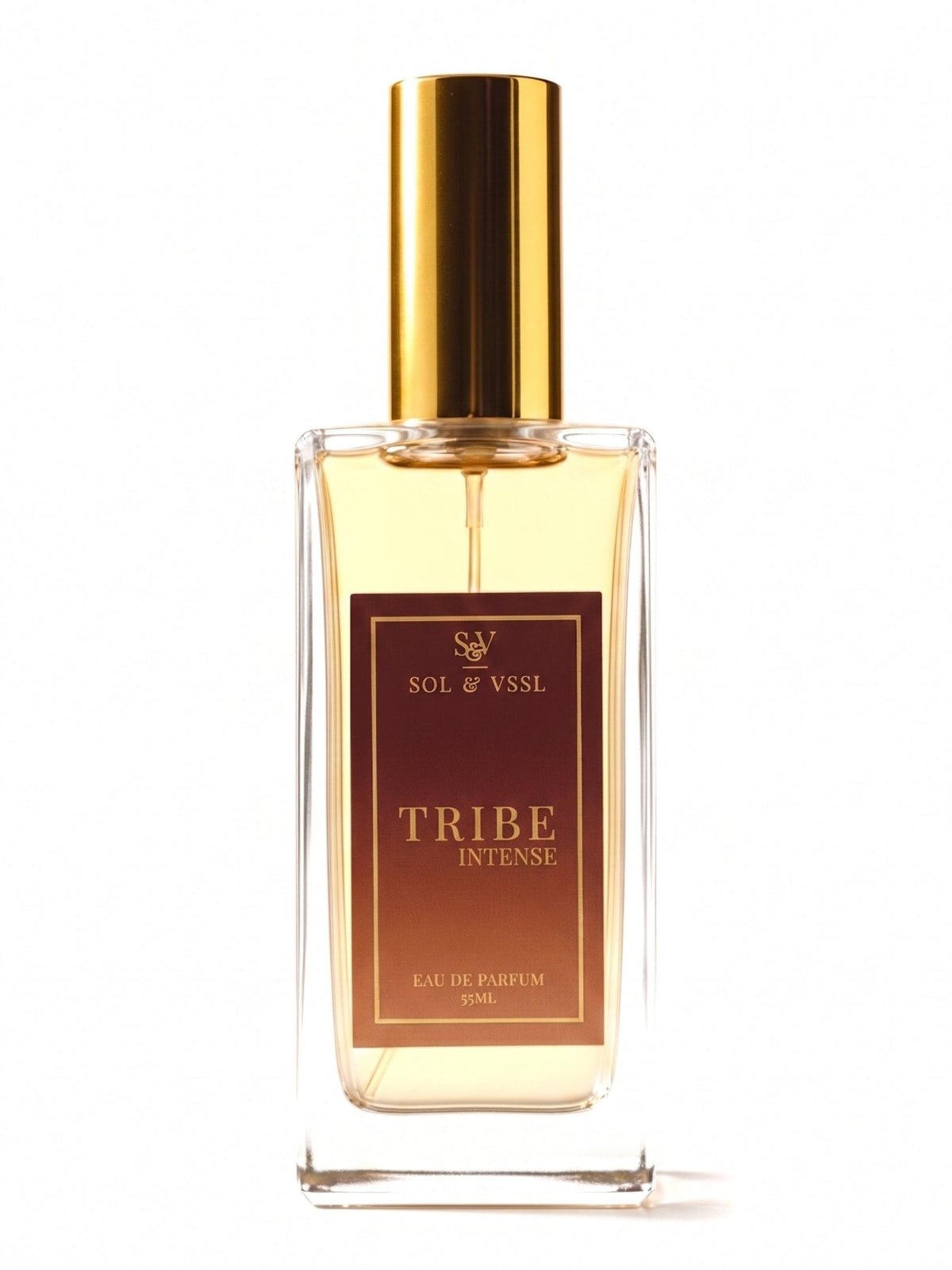 TRIBE INTENSE