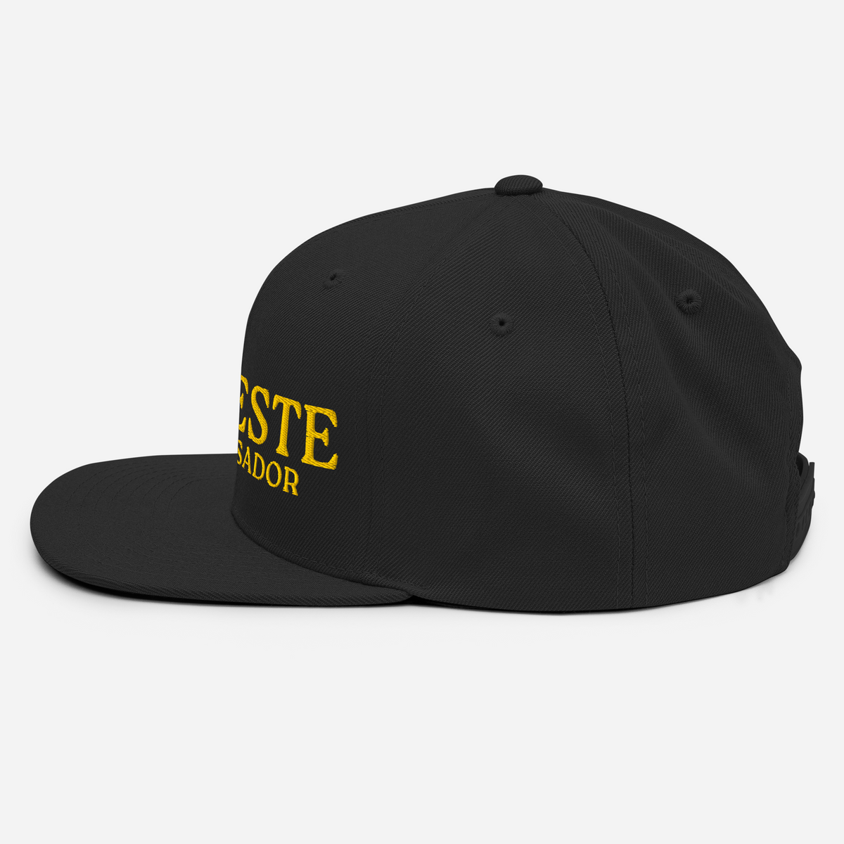 Celeste Ambassador Snapback Hat