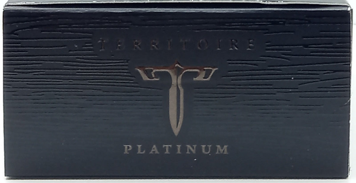 TERRITOIRE PLATINUM By YZY EAU DE PARFUM SPRAY FOR MEN 3.4 Oz / 100 ml BRAND NEW