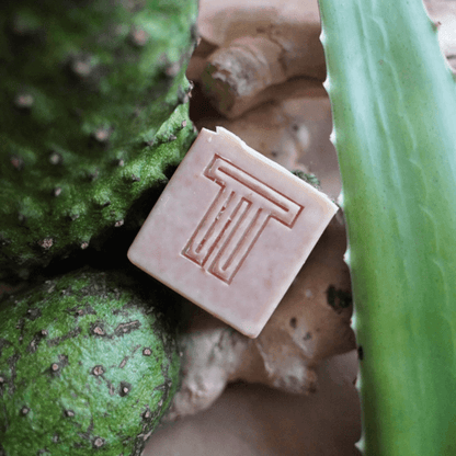 Fresh Soursop Soap